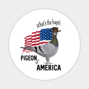 Pigeon of America Magnet